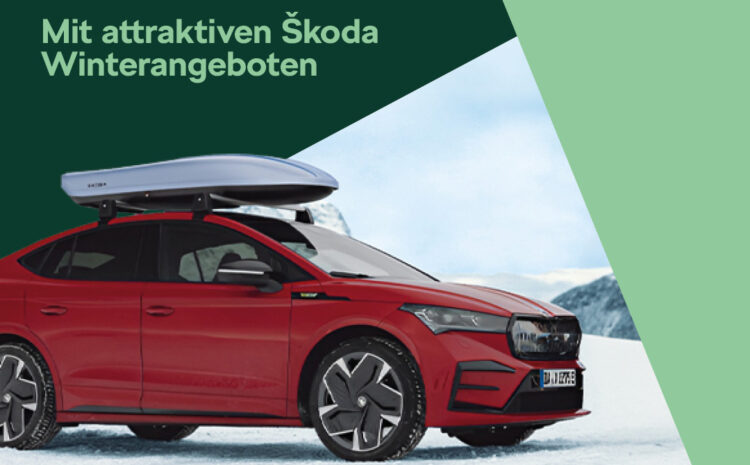  Škoda Winter Service